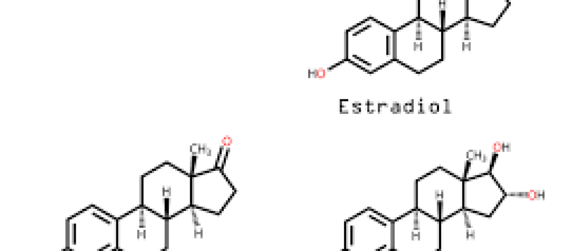 Estrogen
